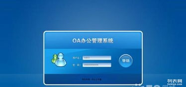 软件外包与定制开发 从电子商城到企业网站的全面指南