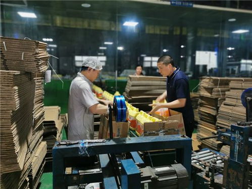 调结构增产能，四川立白疫情期间产销不降反升背后的软件力量